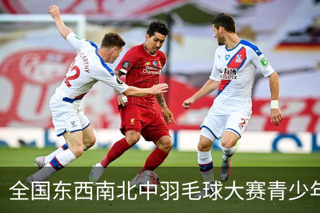 全国东西南北中羽毛球大赛青少年赛北京分站赛挥拍
