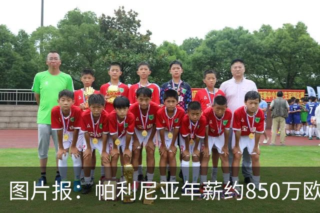 图片报：帕利尼亚年薪约850万欧，大概率将在季前备战回归拜仁